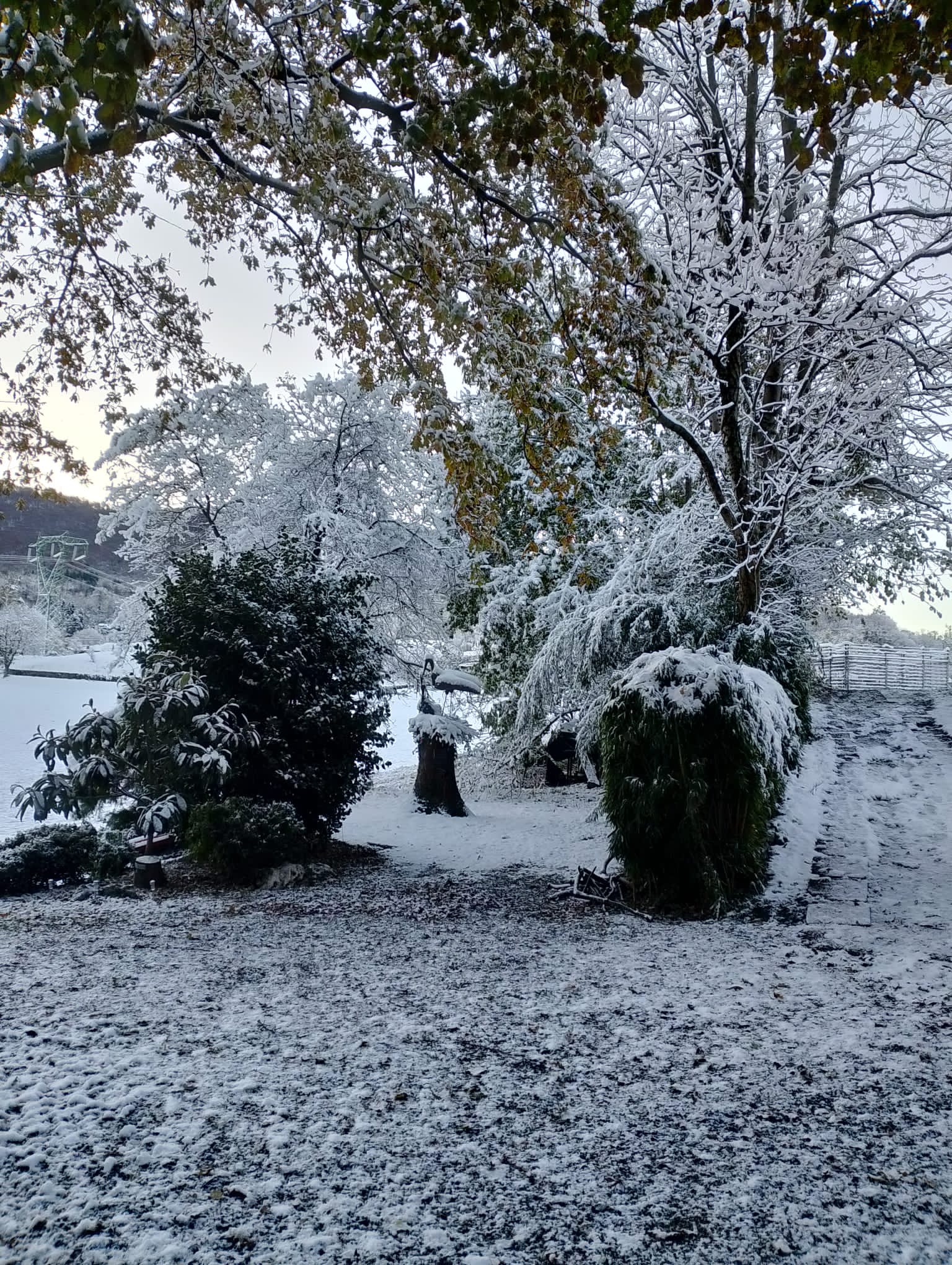 images/g-inverno/IMG-20250503-WA0022.jpg#joomlaImage://local-images/g-inverno/IMG-20250503-WA0022.jpg?width=1536&height=2040