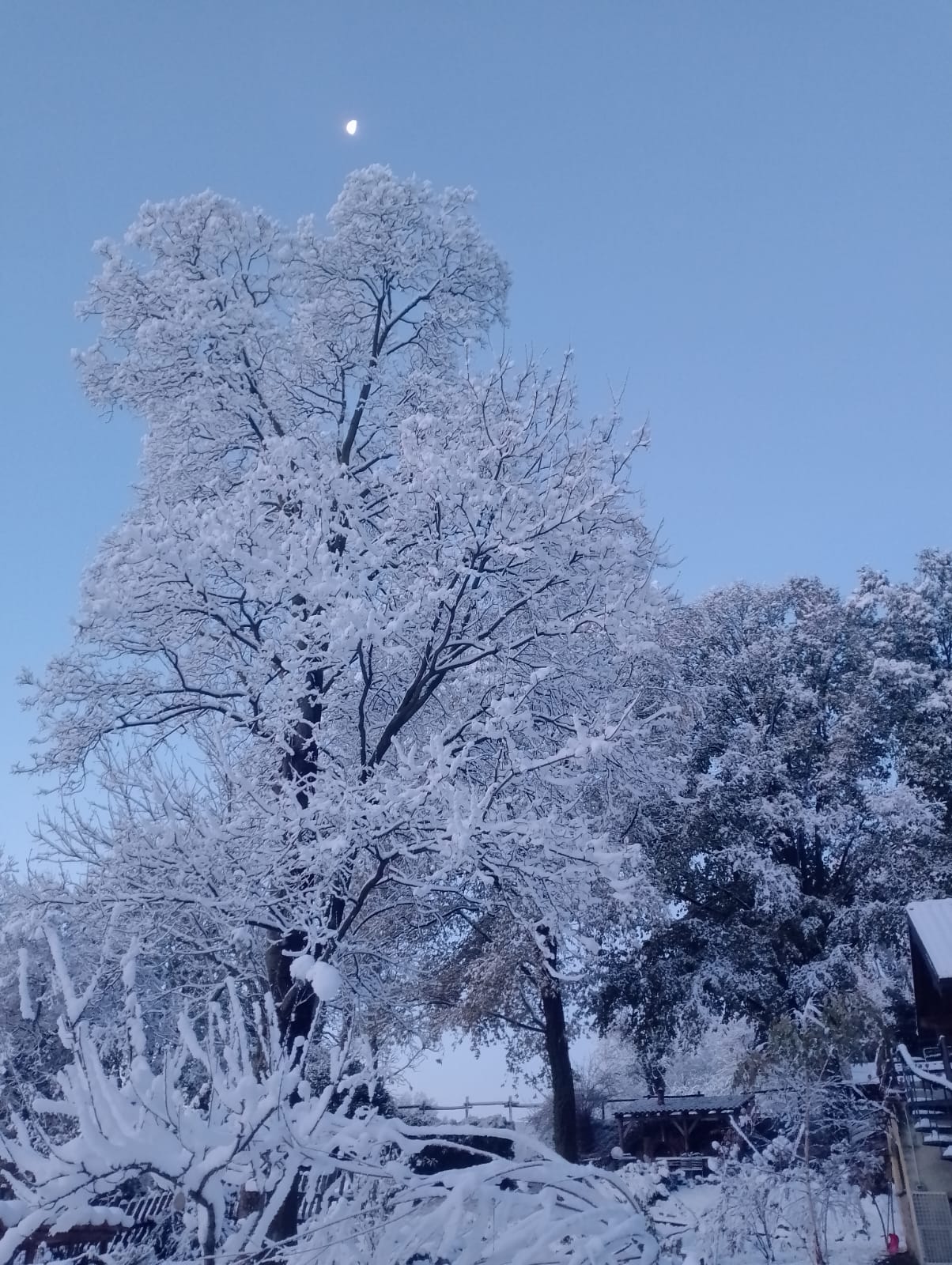 images/g-inverno/IMG-20250503-WA0026.jpg#joomlaImage://local-images/g-inverno/IMG-20250503-WA0026.jpg?width=1204&height=1600