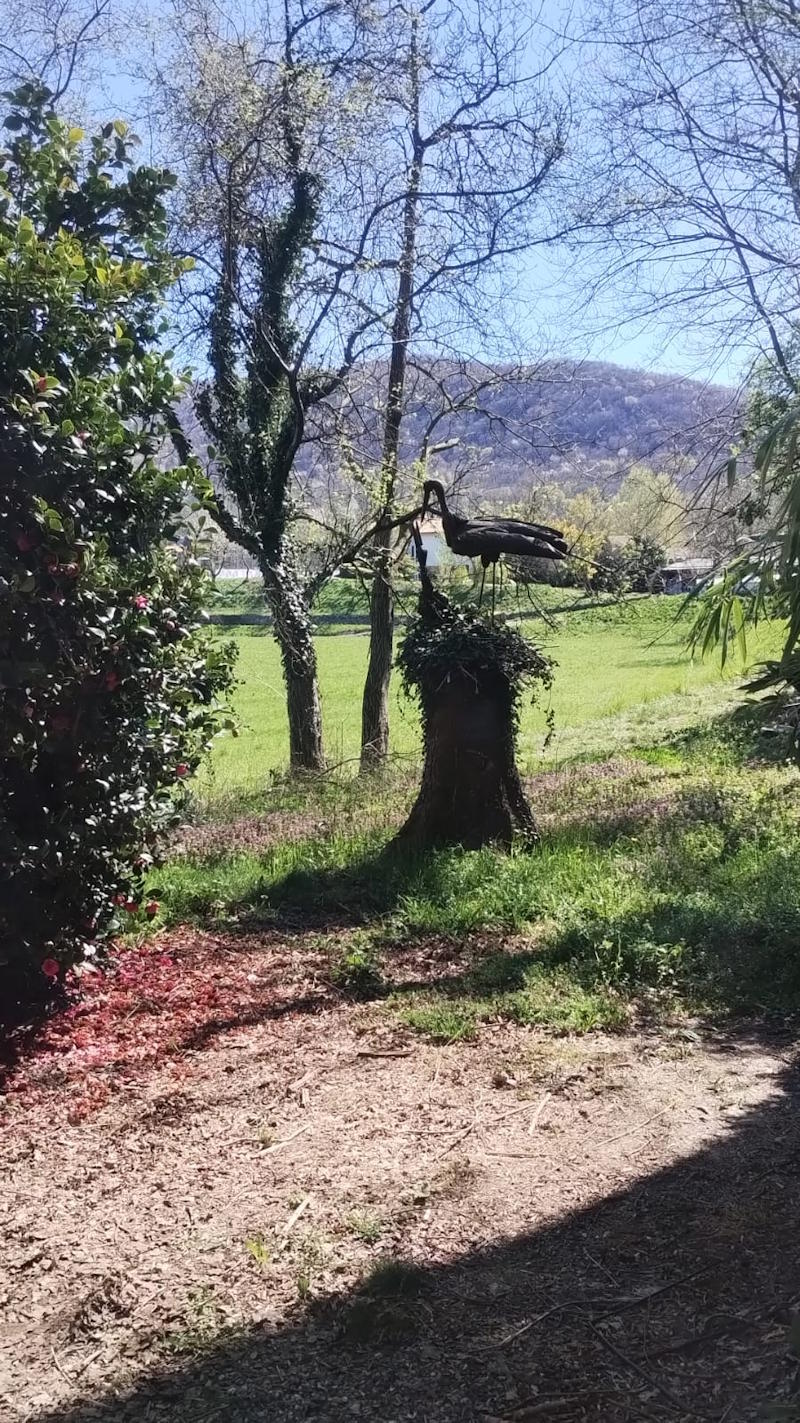 images/madreterralibera/Madre-Terra-Libera-Cicogna.jpg#joomlaImage://local-images/madreterralibera/Madre-Terra-Libera-Cicogna.jpg?width=800&height=1423